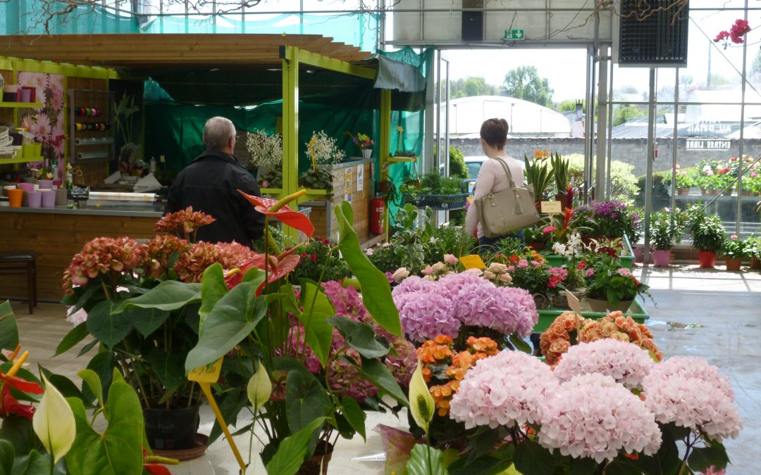 Bienvenue au Marché des Serres le jeudi 29 octobre